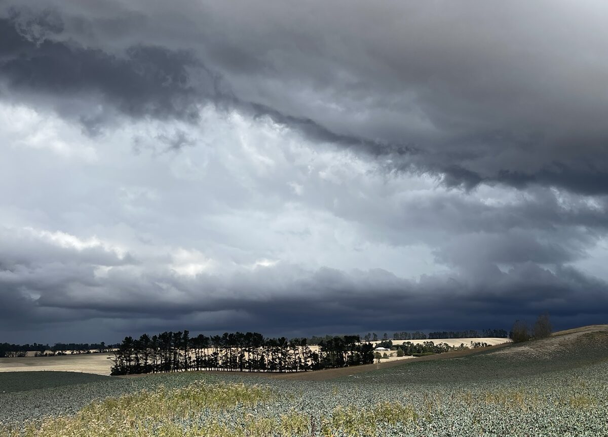 A dark storm front standing over flat farmland, the rain not yet fallen.