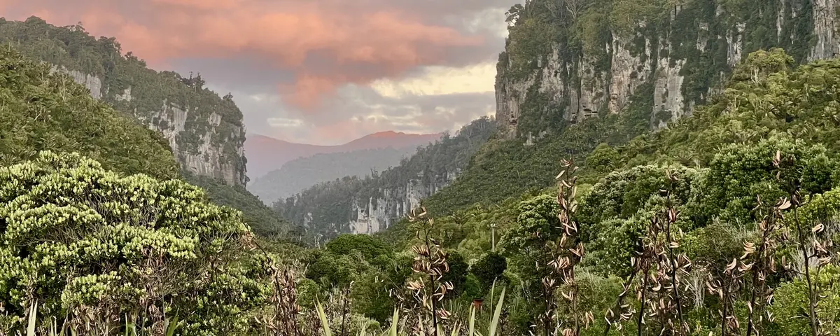 A steep bush gorge below limestone bluffs at dusk