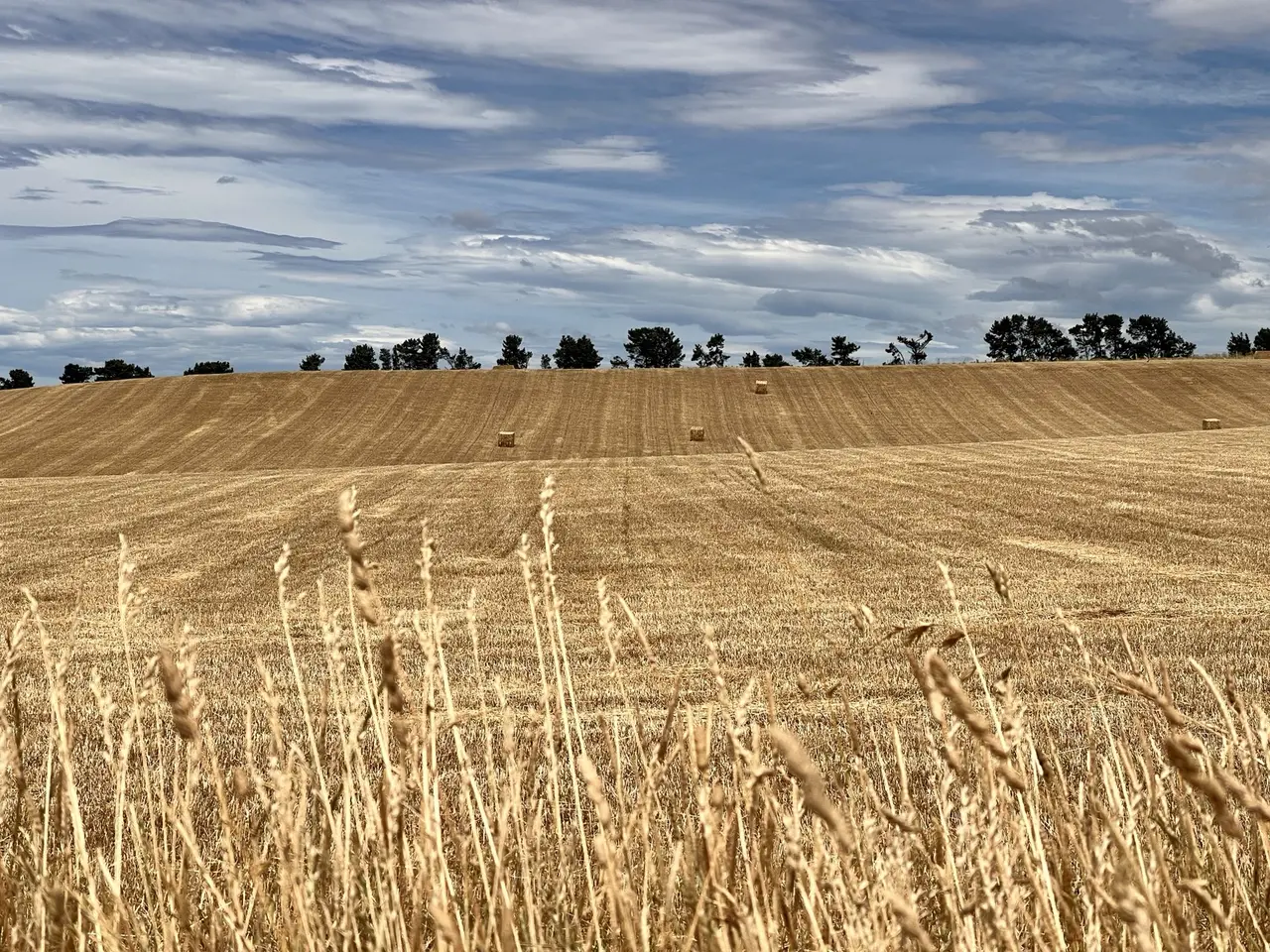 Stubble field under a wide cloudy sky after harvest