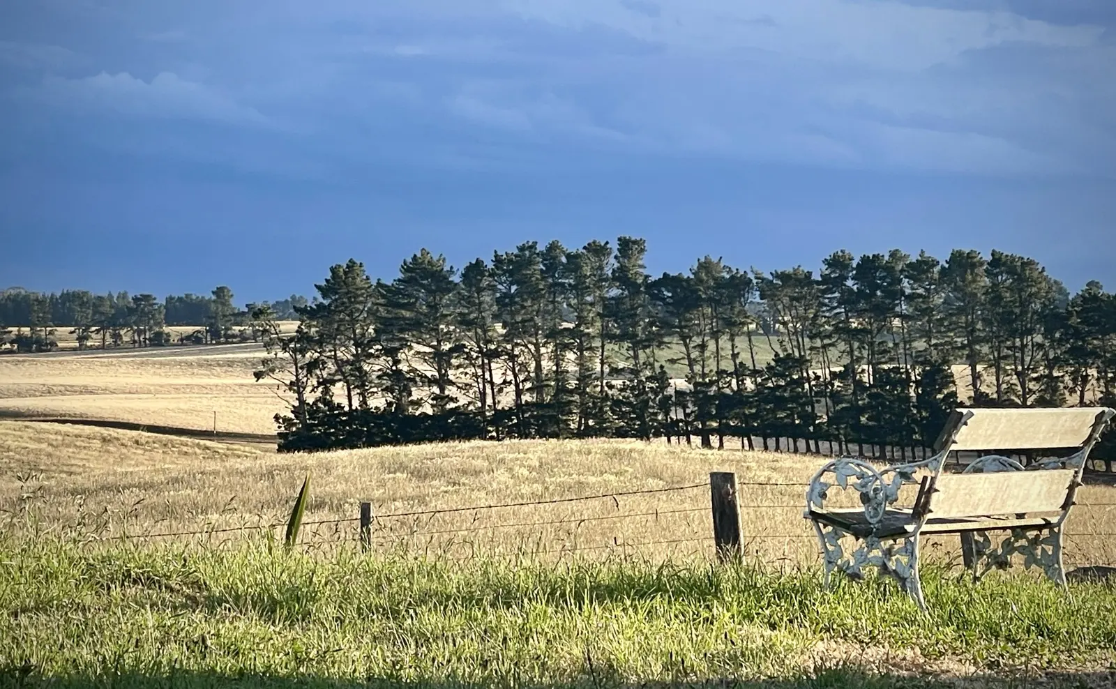 A weathered bench looking out over rolling farmland, Aotearoa New Zealand