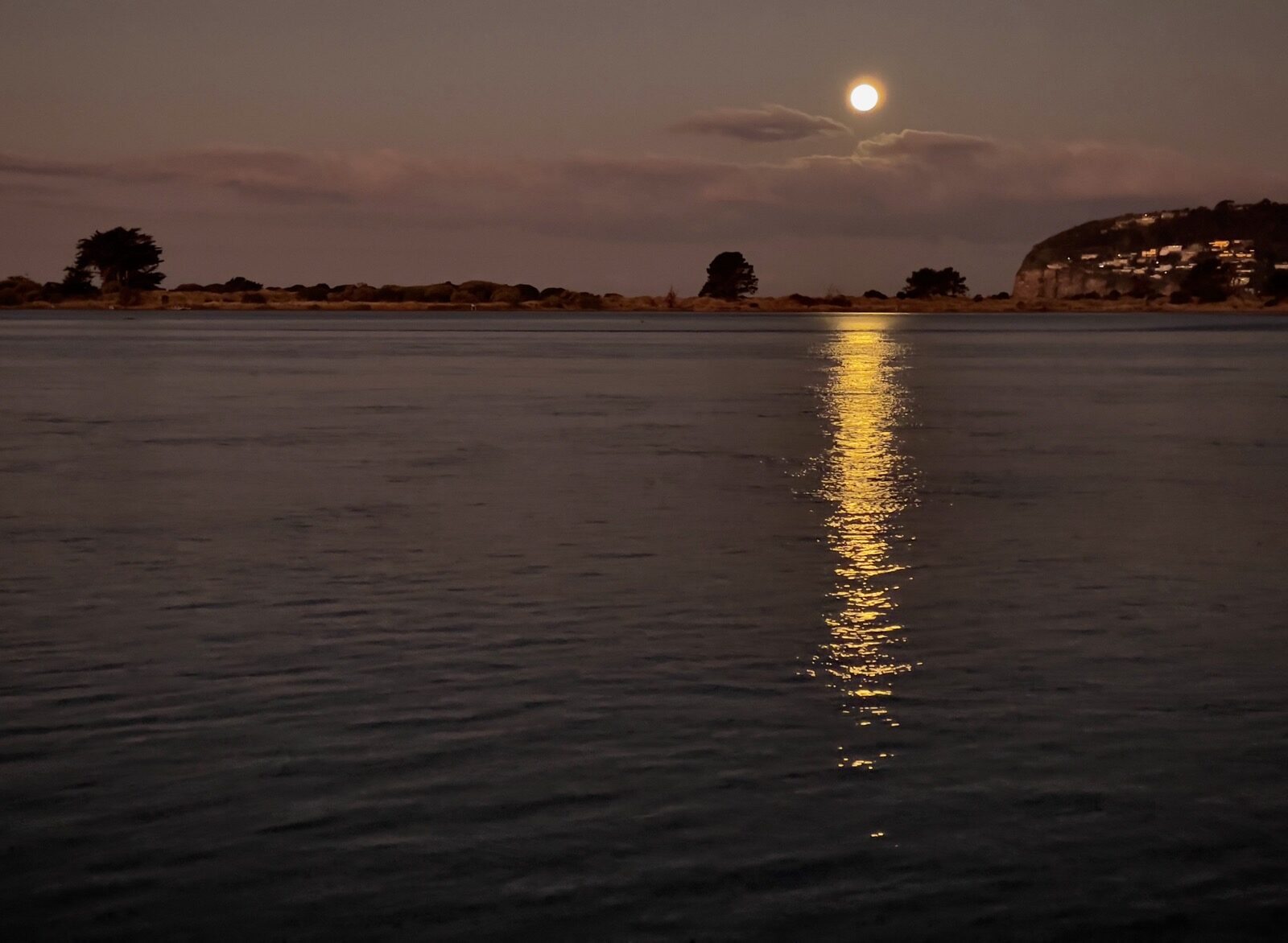 Moonlight laid in a single straight line across still water