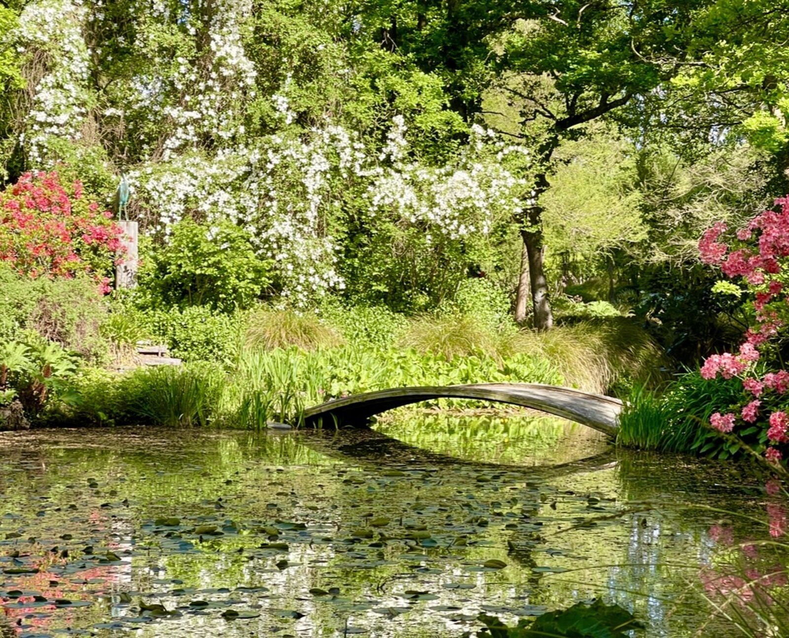 A small bridge over a still garden pond